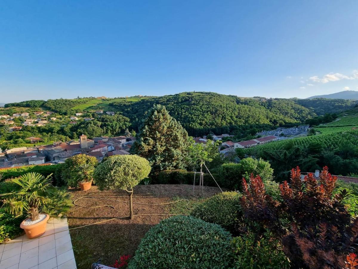 Hotel Wine Passion Panoramic Chavanay Exterior foto